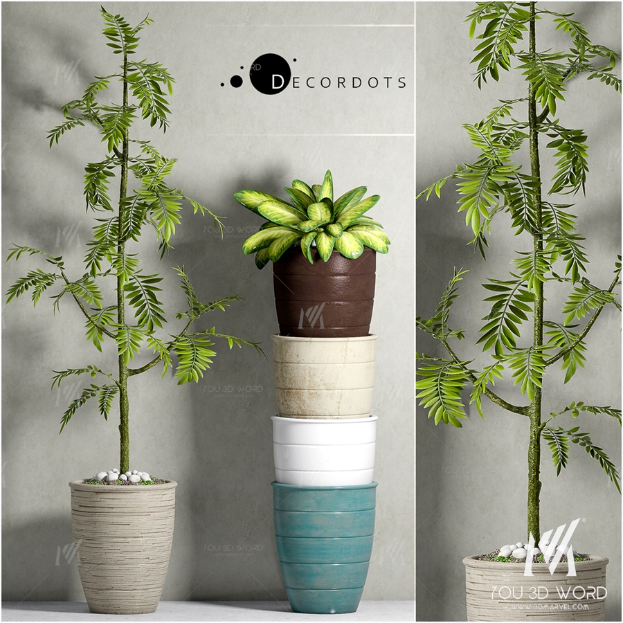 PLANT-41